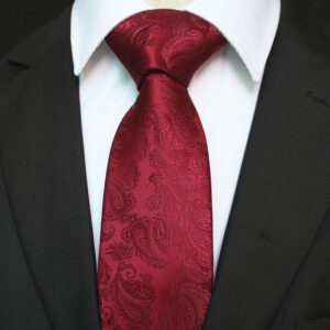 Men's Neck Tie Premium European Made with Gift Box[Burgundy Paisley]